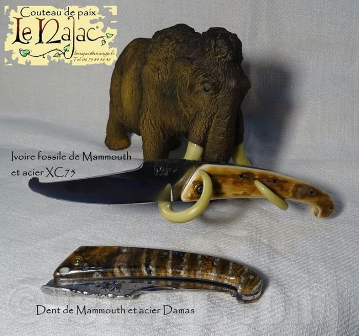 Le Najac - Najac mammouthe et dent de mammouth